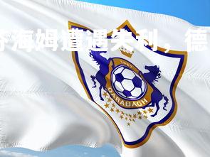 abg欧博官网-霍芬海姆遭遇失利，德国足球联赛积分稍显下滑