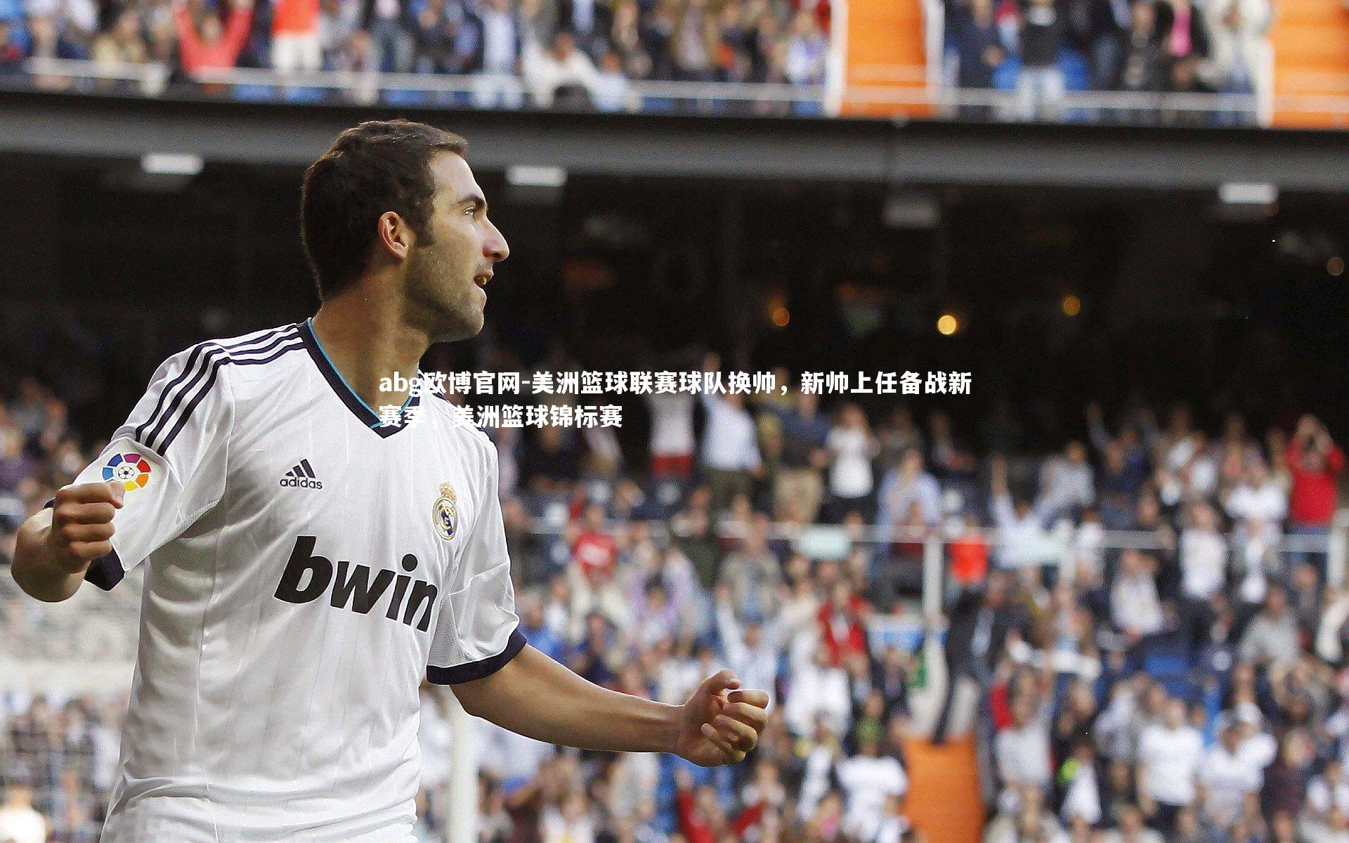 abg欧博官网-美洲篮球联赛球队换帅，新帅上任备战新赛季，美洲篮球锦标赛